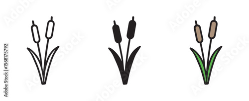 Cattail wetland plant icon set , vector illustration . 