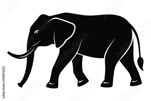 elephant vector illustration