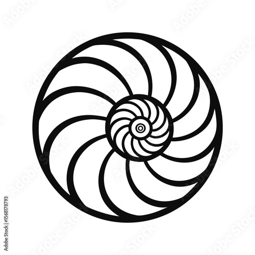 Nautilus shell with spiral design on graphic