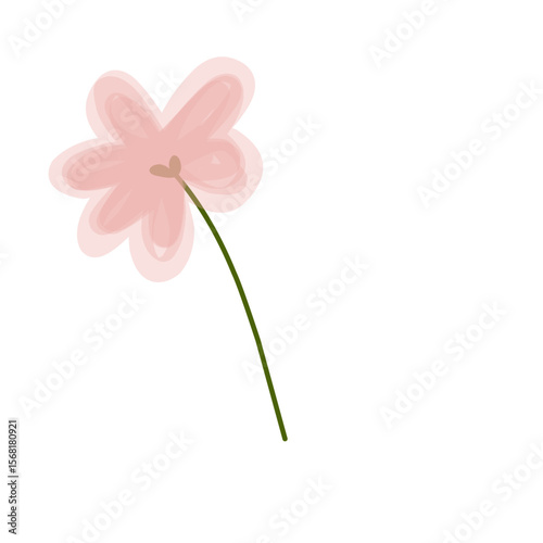 pink flower on white background