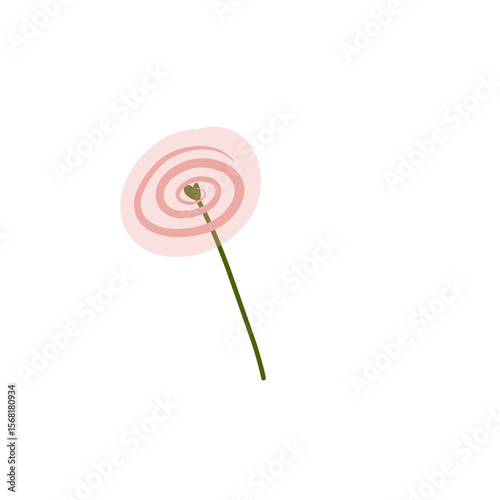 lollipop flower isolated on white background
