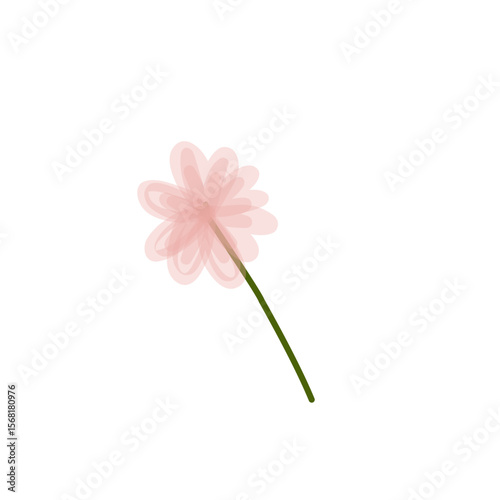 pink flower isolated on white
