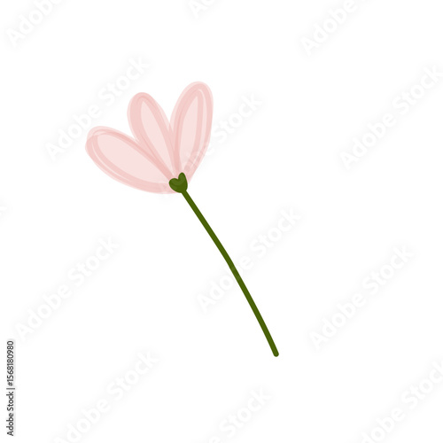 pink flower isolated on white