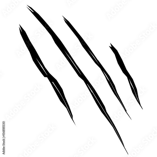 black and white scratch animal background
