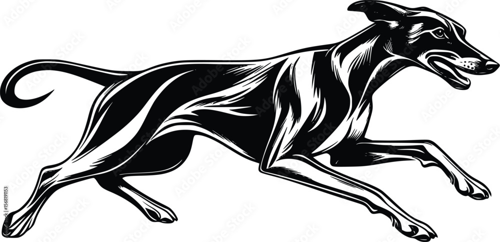 Obraz premium Vector illustration: Sleek black Greyhound, dynamic running pose, artistic style.