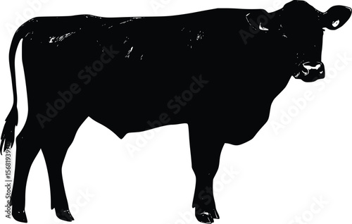 Vector illustration:  Silhouette of a young black bull, side profile, farm animal.
