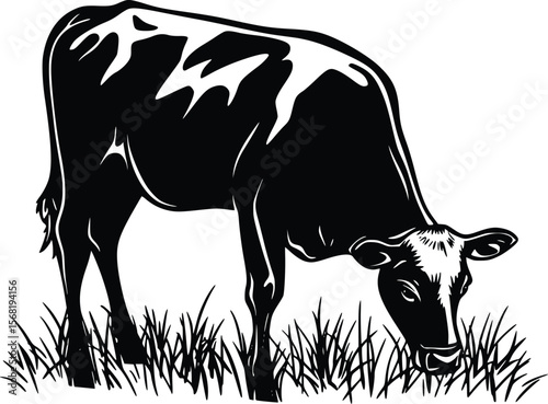 Vector illustration: Black cow grazing in grass, rustic style, farm scene.