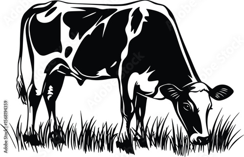Vector illustration: Black and white cow grazing in pasture, stylized design.