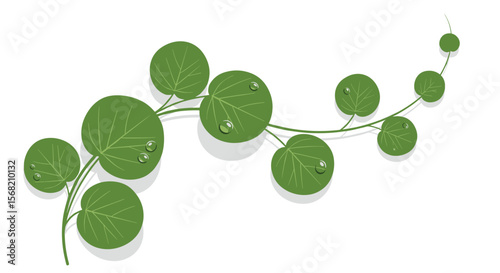 Green Leafy Vine with Water Droplets and Subtle Shadows on a White Background
