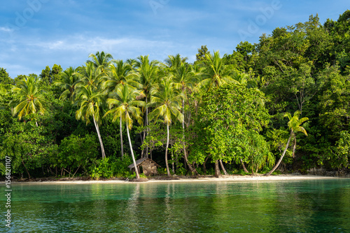 Tableau sur toile Remote Island in Raja Ampat, Indonesia