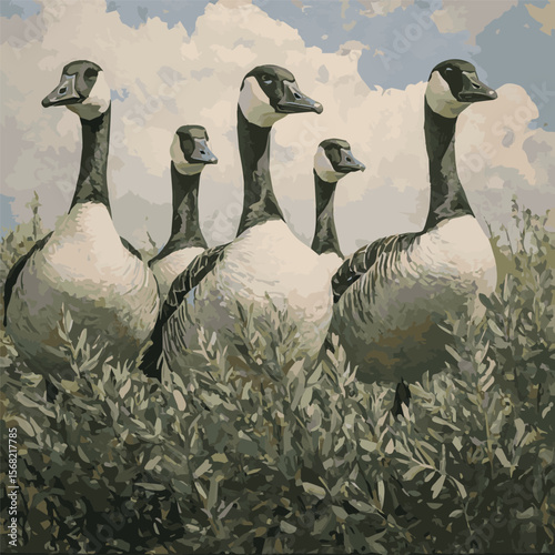 geese in the field, color image
