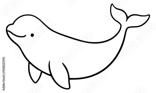 beluga whale illustration