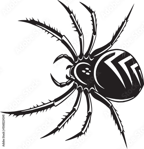 Detailed black and white spider illustration perfect for tattoo designs and graphic elements