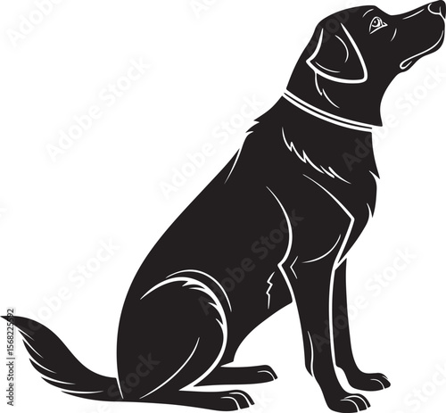 Black silhouette of a labrador retriever dog sitting and looking upwards isolated on white