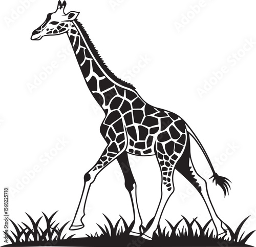 Elegant black and white illustration of a tall giraffe walking across the african savanna