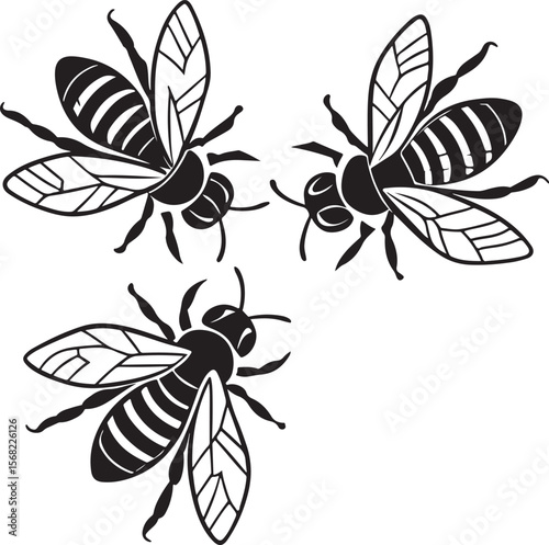 Three stylized black bee silhouettes overlaid on a clean white background showing insect details