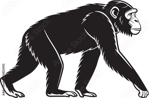 Vector illustration of a walking chimpanzee profile in black and white silhouette