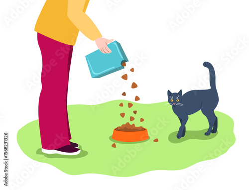 A woman feeds a gray cat dry food out of a box. On a white background. Vector illustration.