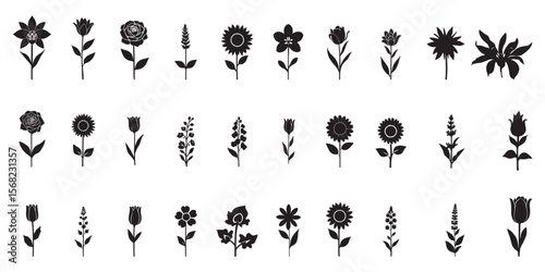"Elegant Black Flower Silhouettes Collection – Rose, Daisy, Sunflower, and Decorative Floral Icons"

