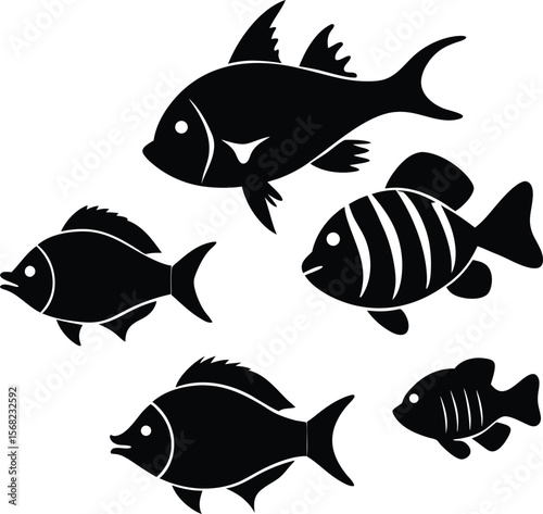 Silhouette Illustration of Five Different Fish Species