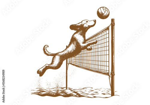 Animals Surfing Engraved Hand Drawn Natural Illustration Vector Isolated by AZ for Books, Arts, Design and Decoration Graphic Asset