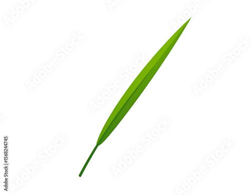 Single Green Leaf on Black Background