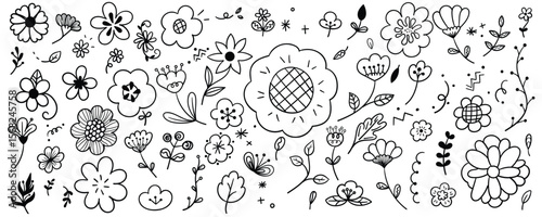 Hand drawn flower element line doodle set. Illustration vector design.