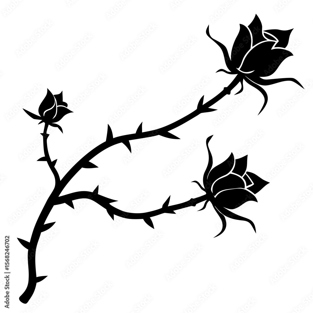 Fototapeta premium silhouette of a single climbing rose vine with thorns and buds