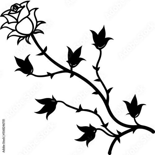 silhouette of a single climbing rose vine with thorns and buds