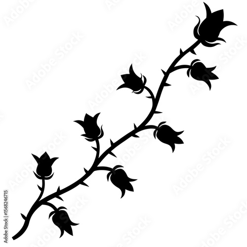 silhouette of a single climbing rose vine with thorns and buds