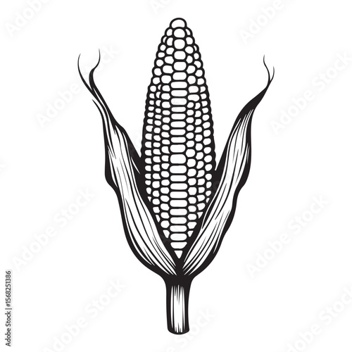 corn silhouette vector illustration 