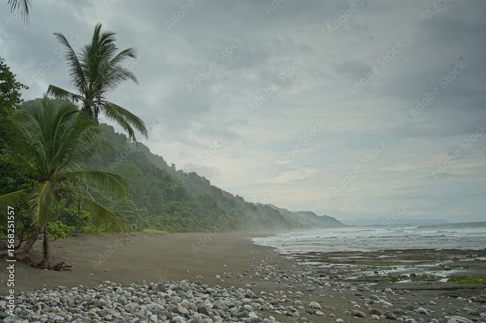 Φωτογραφία beach near La Leona ranger station in the Corcovado National Park in Costa Rica