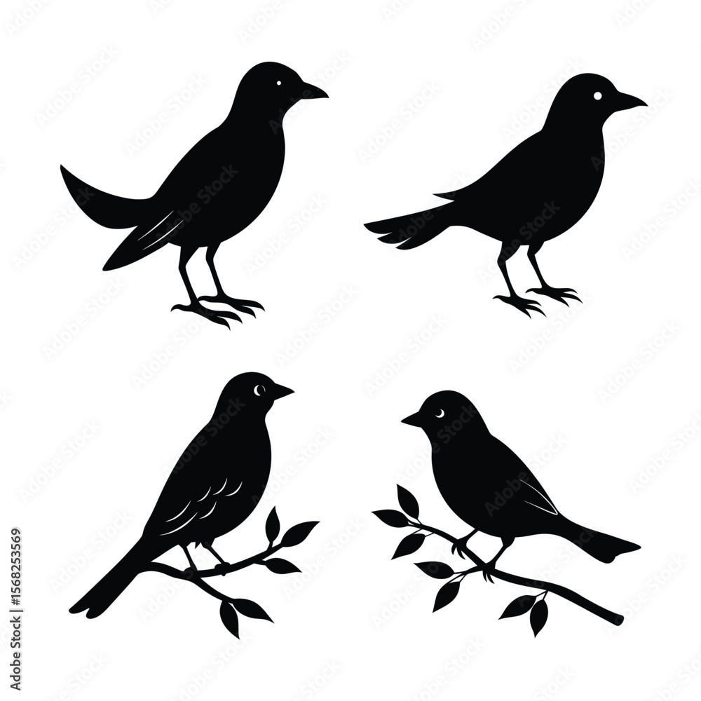 Obraz premium silhouette Bird