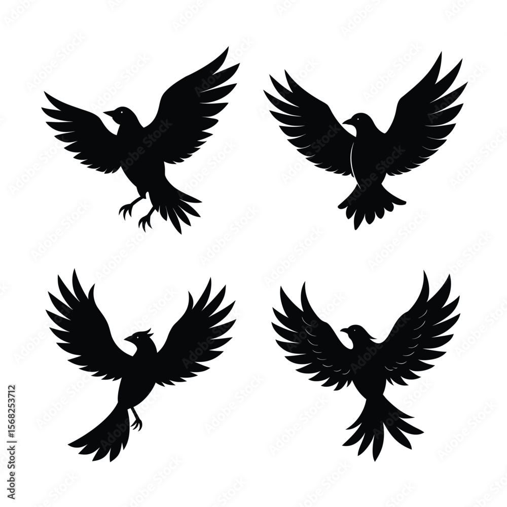 Fototapeta premium silhouette Bird