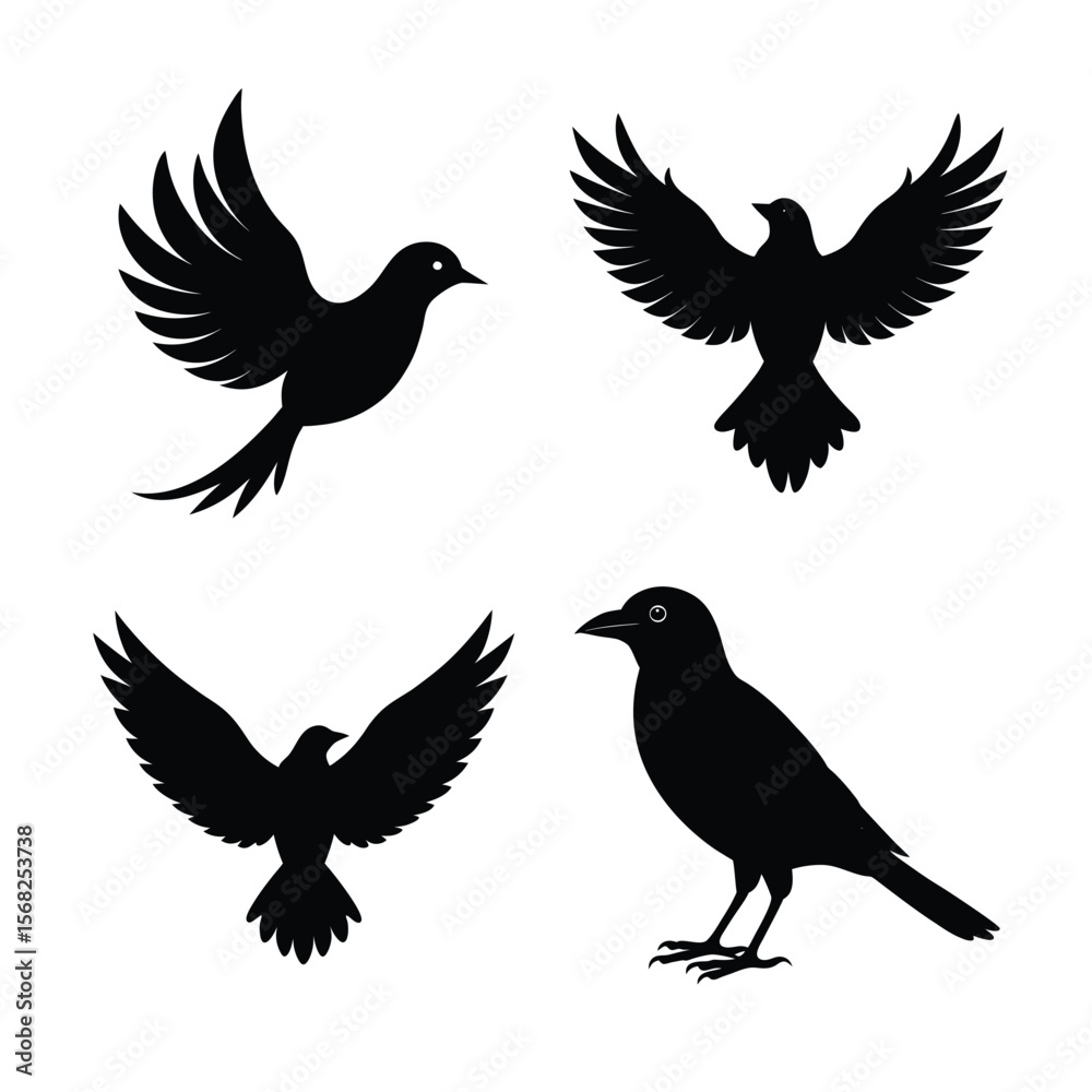 Obraz premium silhouette Bird