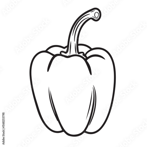 Vector art of a bell pepper is isolated on white background in a simple line drawing