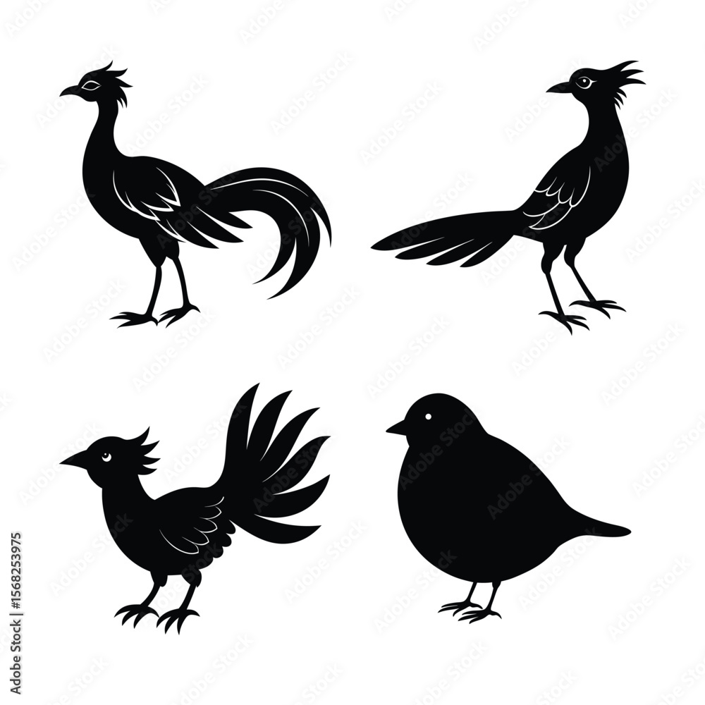 Fototapeta premium silhouette Bird