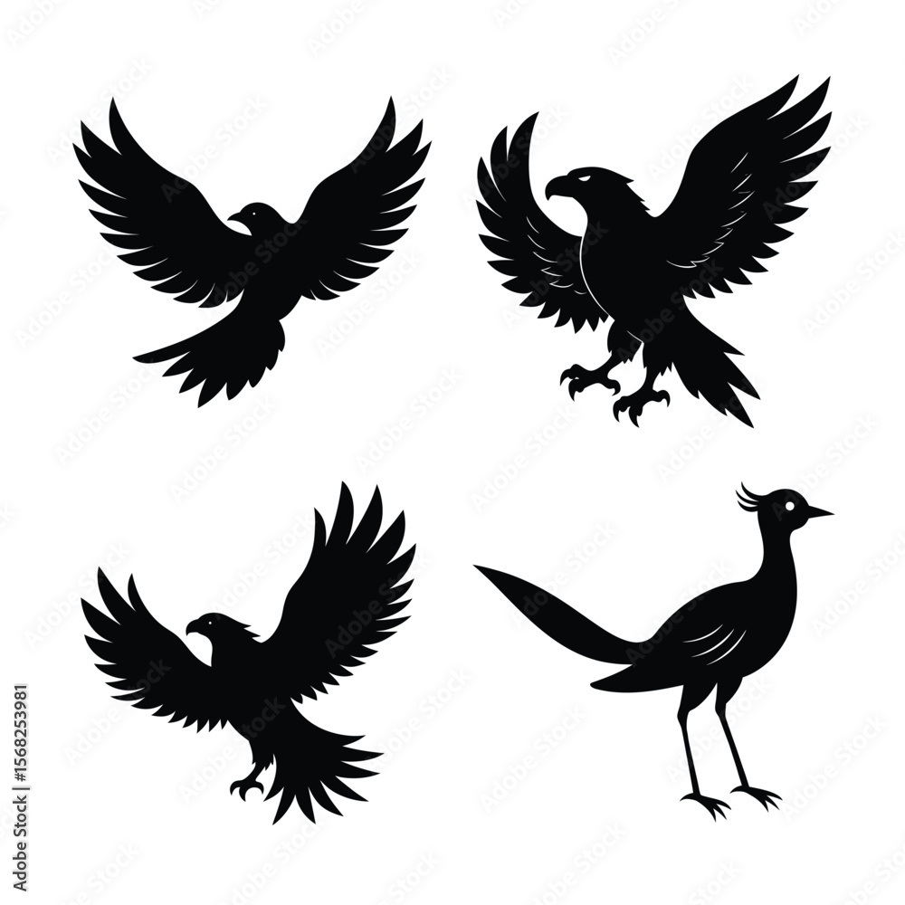 Obraz premium silhouette Bird