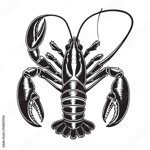 Vector art of a black and white lobster is isolated on white background