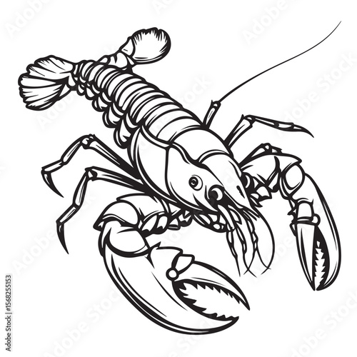 Vector art of a black and white drawing of a lobster isolated on white background
