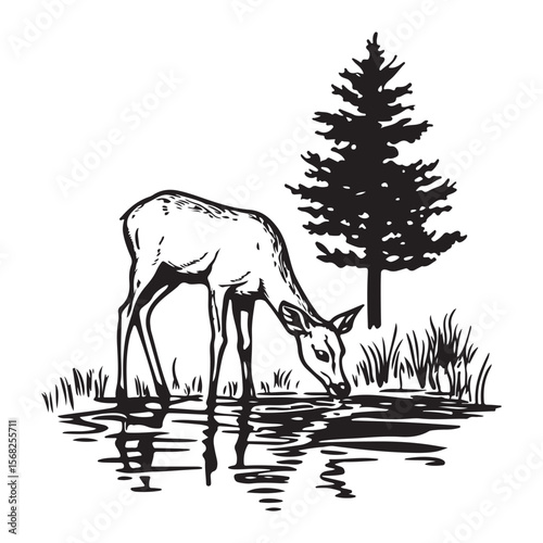 Deer Drinking Water Silhouettes, A deer Drinking Water in a shallow river animal vector silhouette, silhouettes of a deer drinking water vector art illustration