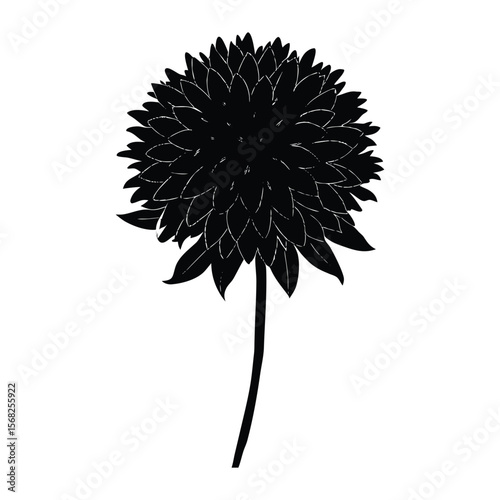 flower of a dandelion
