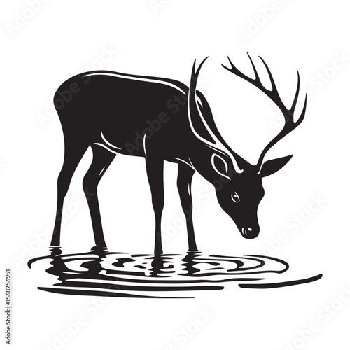Deer Drinking Water Silhouettes, A deer Drinking Water in a shallow river animal vector silhouette, silhouettes of a deer drinking water vector art illustration