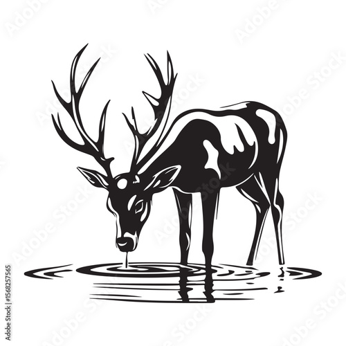 Deer Drinking Water Silhouettes, A deer Drinking Water in a shallow river animal vector silhouette, silhouettes of a deer drinking water vector art illustration