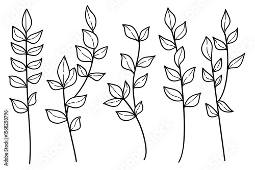 Hand drawn line art botanical leaves and flowers collection.