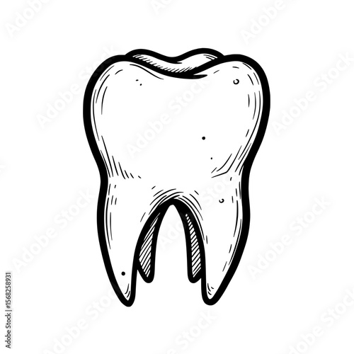 Dental Elegance: A detailed artistic rendering showcases the robust form and immaculate contours of a pristine tooth, offering a timeless representation of dental health and hygiene.