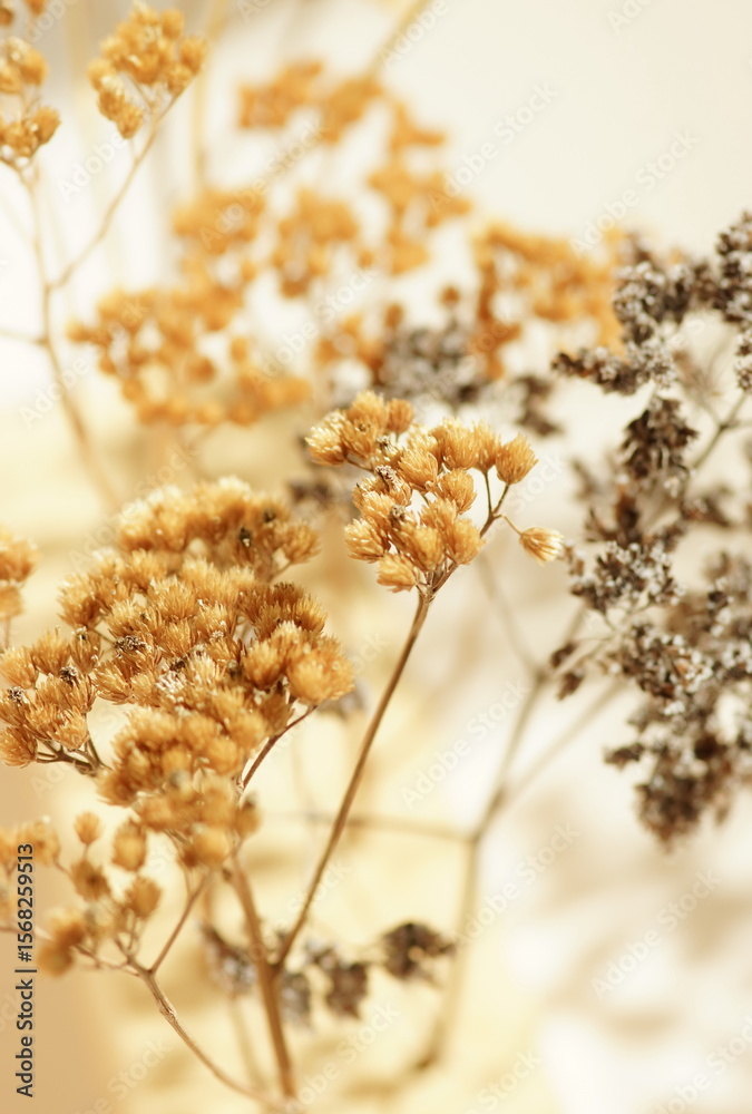 Naklejka premium Dry flowers close up background . Dried autumn plant texture. Aesthetic design poster.