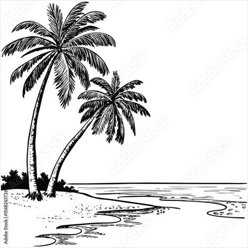 Palm trees line a sandy beach by the ocean, isolated on white background
