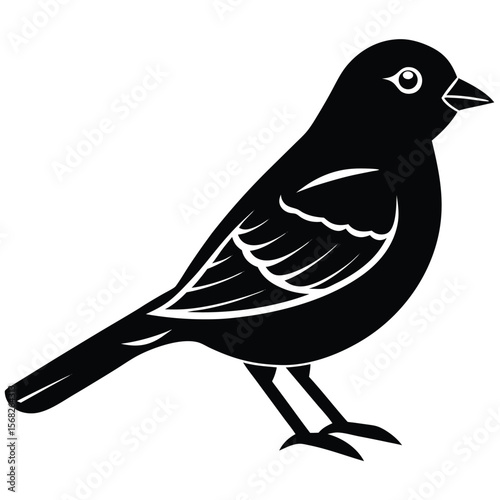 Canary bird single vector shilhouette 