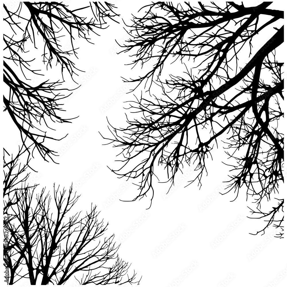 Silhouette Tree Branches: stark contrast of black branches against a simple background, evoking a sense of nature and tranquility. This minimalist composition offers a versatile visual for design. Silhouette Tree Branches: stark contrast of black branches against a simple background, evoking a sense of nature and tranquility. This minimalist composition offers a versatile visual for design.